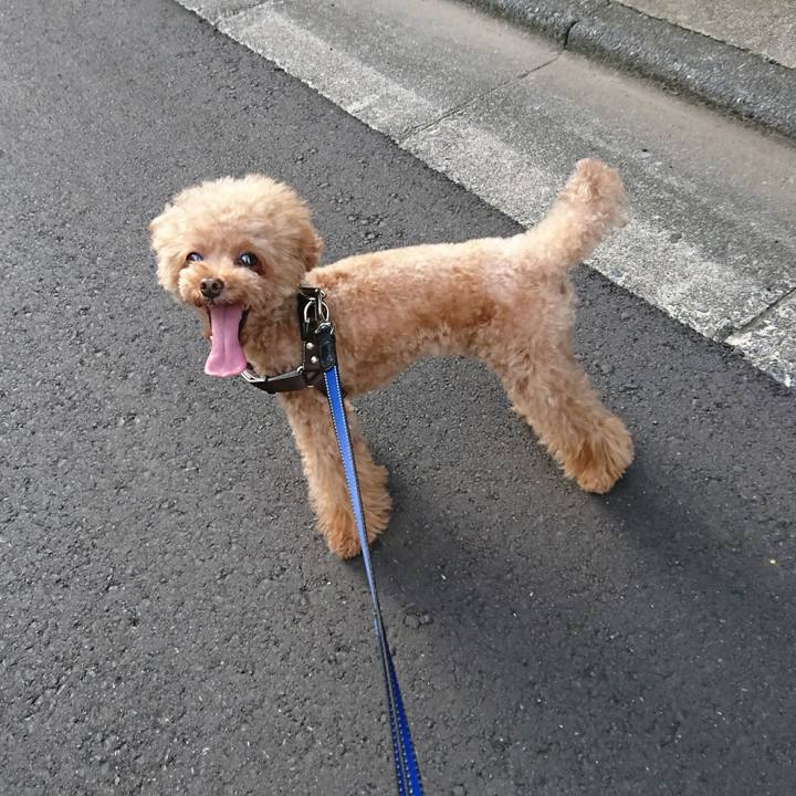 49dd8b1a 8cf4 4e59 a7d9 85a2d1d94a32