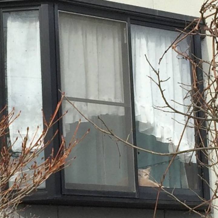 49ddf8f0 6f81 4820 83c5 10a8942e8ec0