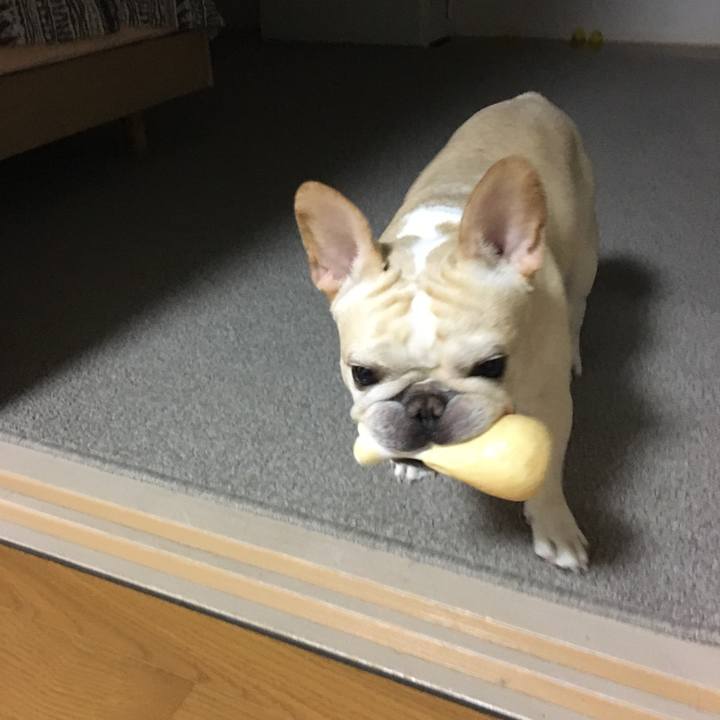 49de3287 3037 4307 89d6 1df416582612