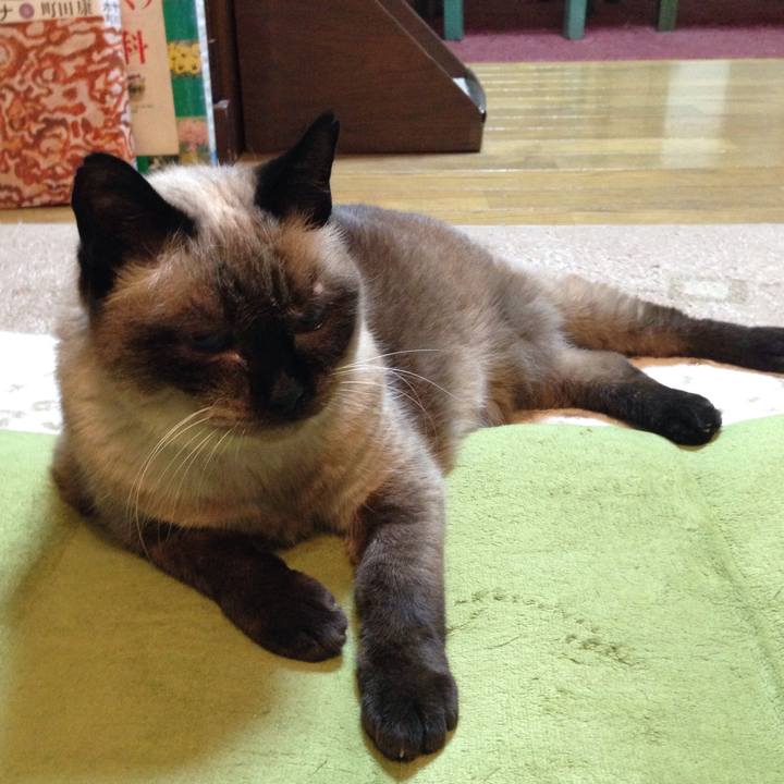 49de3474 193e 4f19 97c3 81c8f1d1b7b9