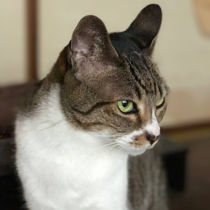 49de7b19 73e6 466b a01c 5e9548189650