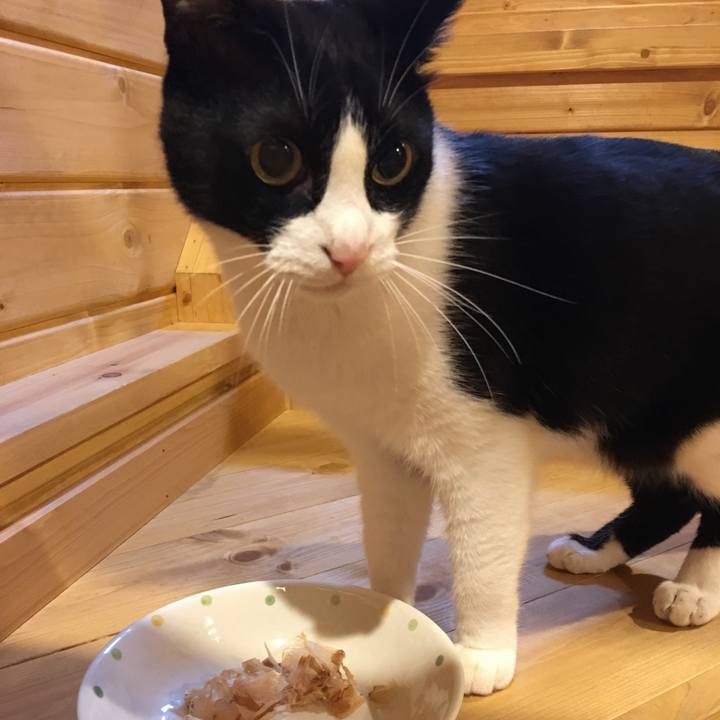 49de935e 7512 46fd 9a9f b857ee5a49e2