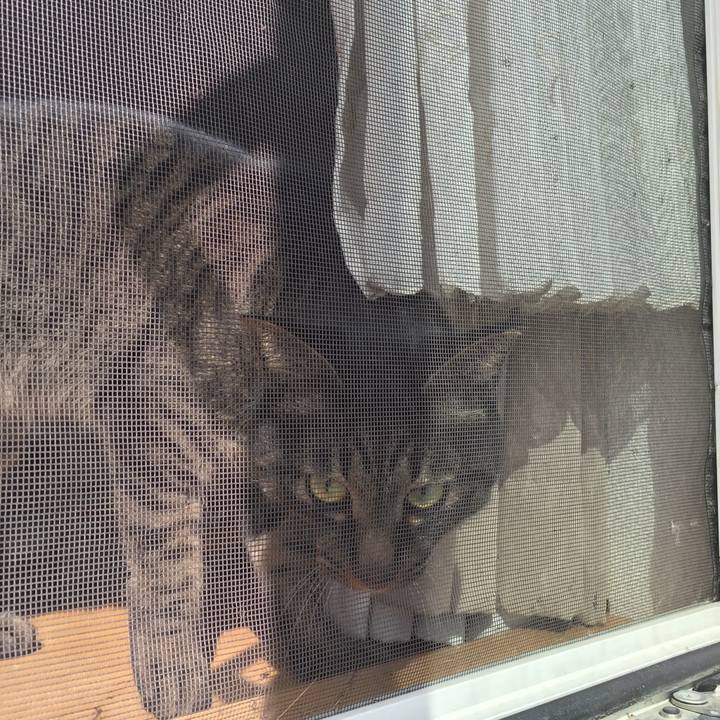 49de9b18 6aac 4190 824d 42e2e21564d8