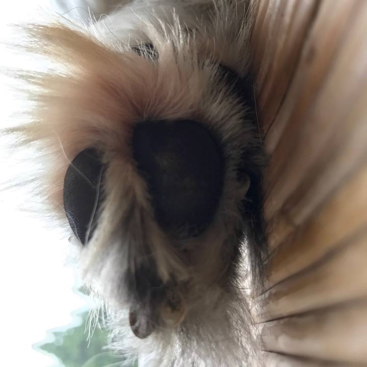 49deb3c4 1808 4d39 bad5 849d2fef5709