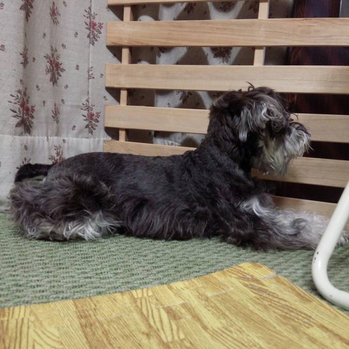 49dec481 2ae2 47af a32d 4a3401c1326a