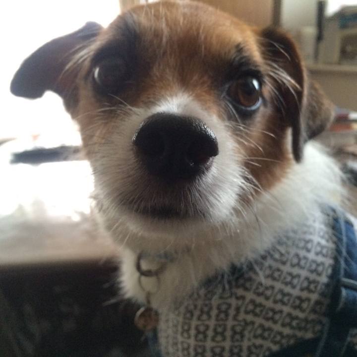 49df1a74 d1dc 43fa 8b24 7eb4af78d7ee