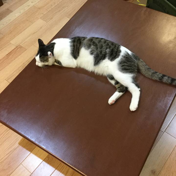 49df1c08 b43a 4fc1 a3ed d7fe7717da4a