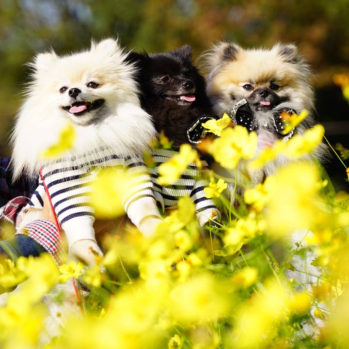 49e04d9c 6ca1 4de7 80b7 302f96d380b2