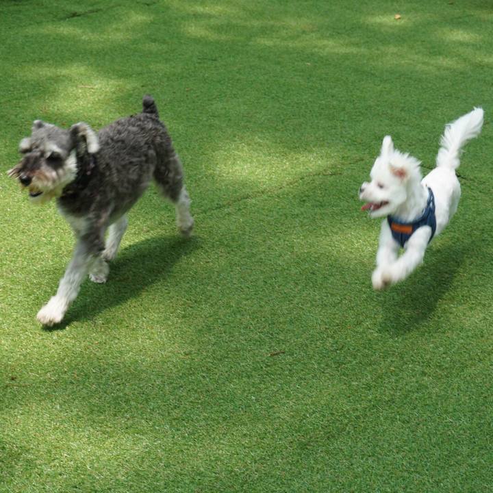 49e0677b f84c 497d bedf 228f61c42d43