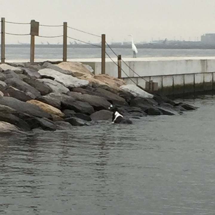 49e0abca 7be1 4d47 a17b 110423a5747d