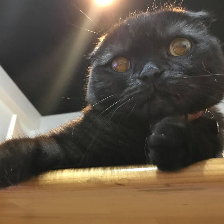 49e0ac3e 5a71 4ace 88a0 b74d72631db3