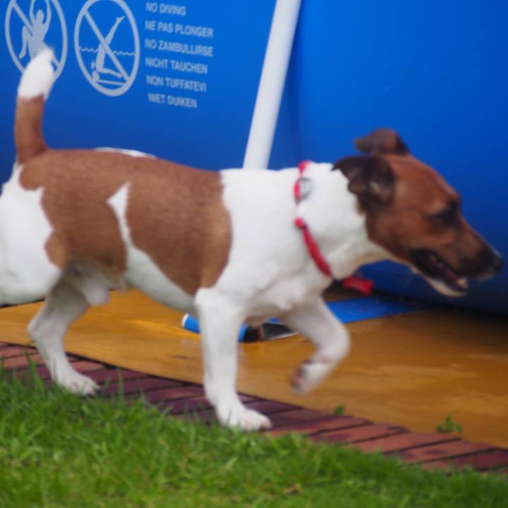 49e0fa86 2718 4587 bc04 347aa5e507f4