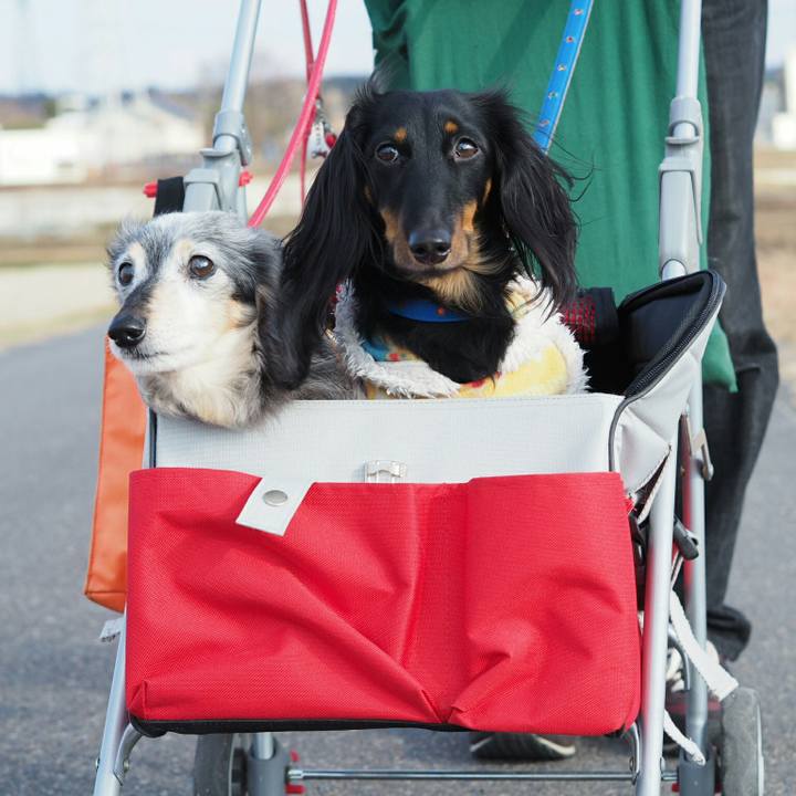 49e1251d 1069 4cf0 a017 2d118e8defda