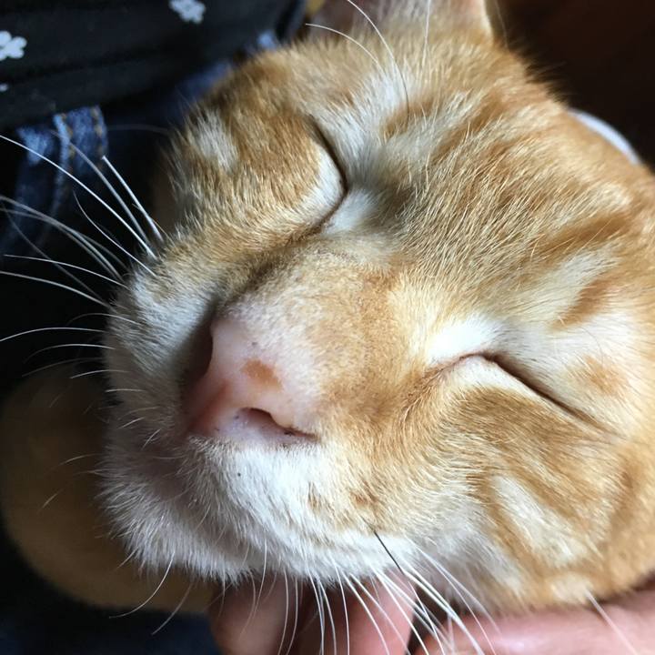 49e127aa 945f 4868 a537 52adc7f6a248