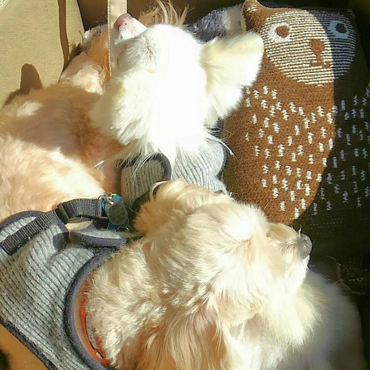 49e13cad c1c3 4501 807b bc056d85886d