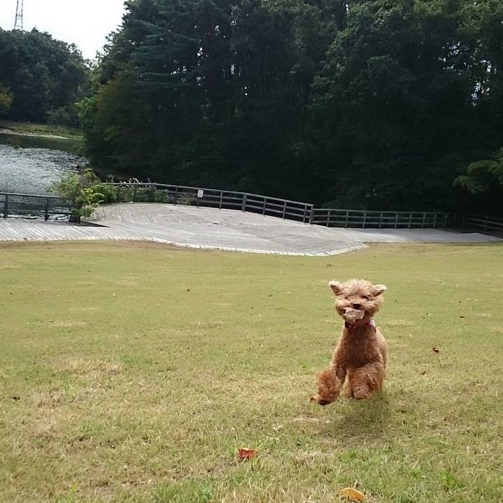 49e16623 e204 488b b433 fee78a5a85aa