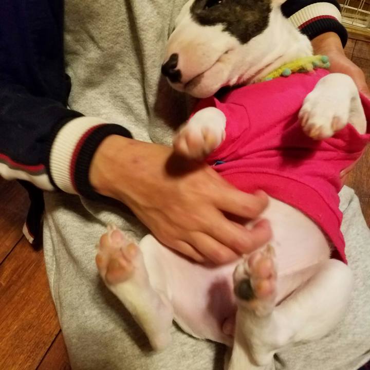 49e1bfb6 77c6 4383 a77d 3ced61878002