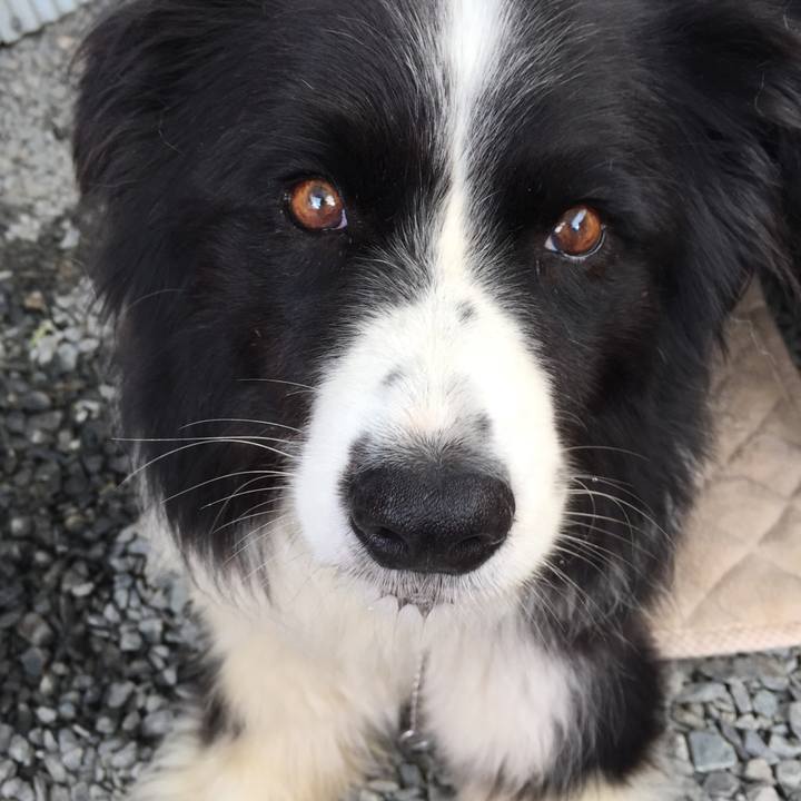 49e1ef8e 3b25 443f b51f a521e1967930