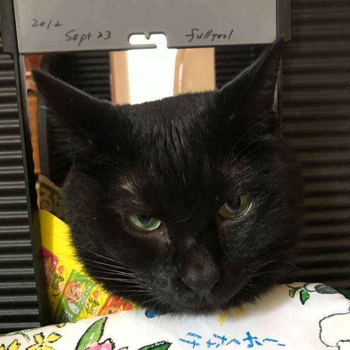 49e204ab 4180 4218 8ee1 f39e0a8bbd95