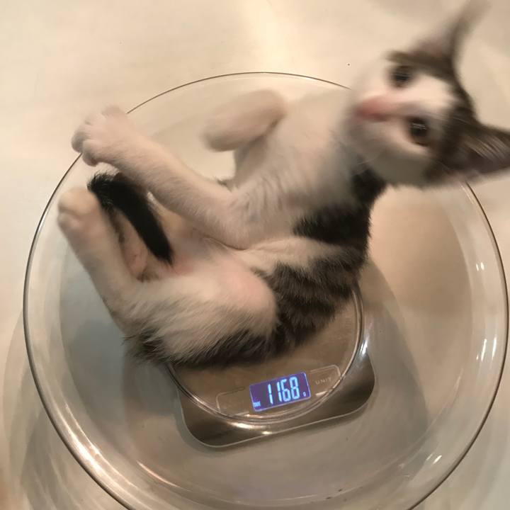 49e210f5 6598 4d20 a42a 2020ea016e60