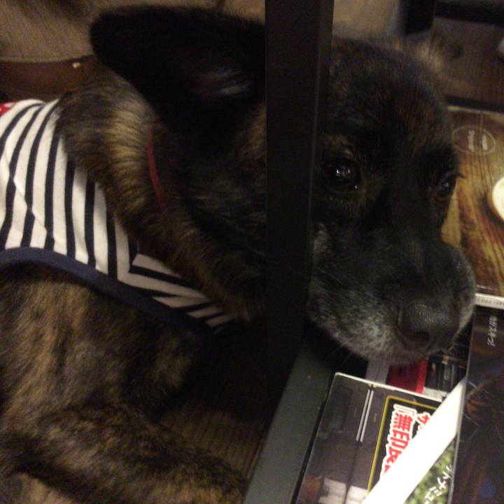 49e230a4 9616 47d2 a851 a6c24284e395