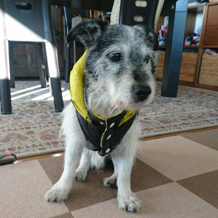 49e25022 7a40 4122 9adb 60649d2be655