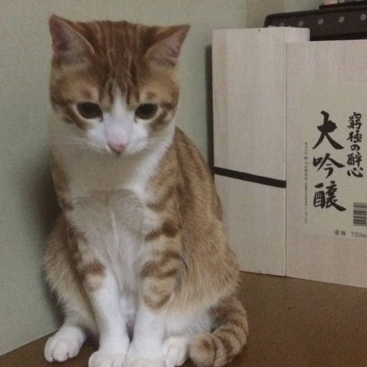 49e30d4f 596e 4ed3 8aef 10f1325fddc2