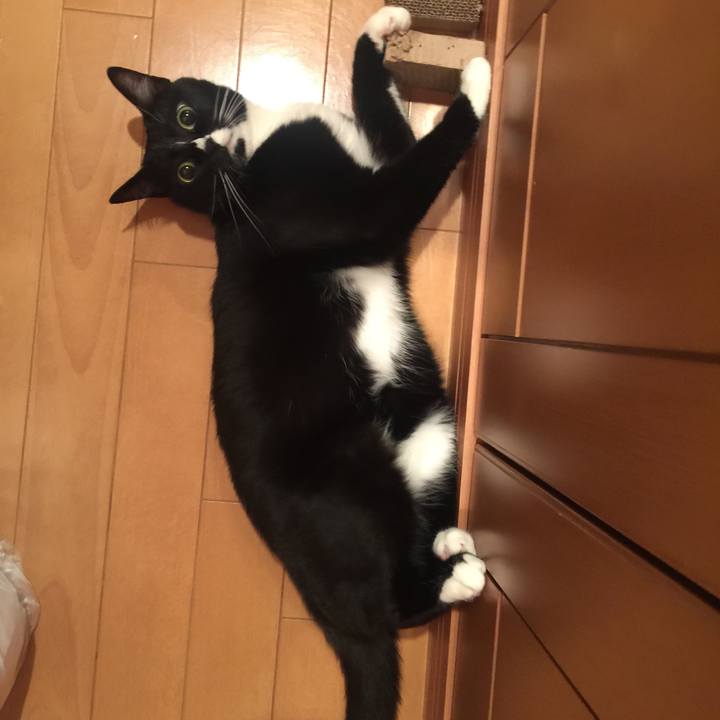 49e4abfa e728 404f 97df 33332ecc285a