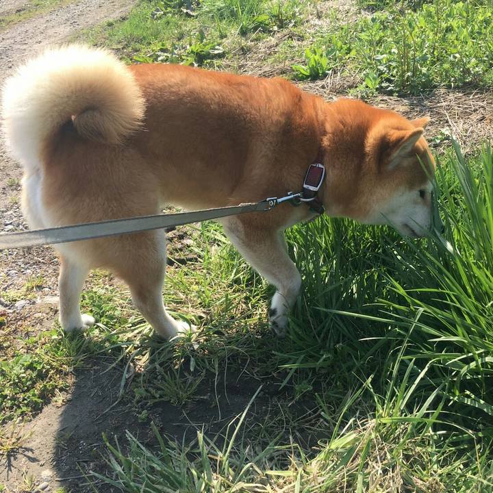 49e4b13a c204 44e5 872a f0a5a1e0ea7c