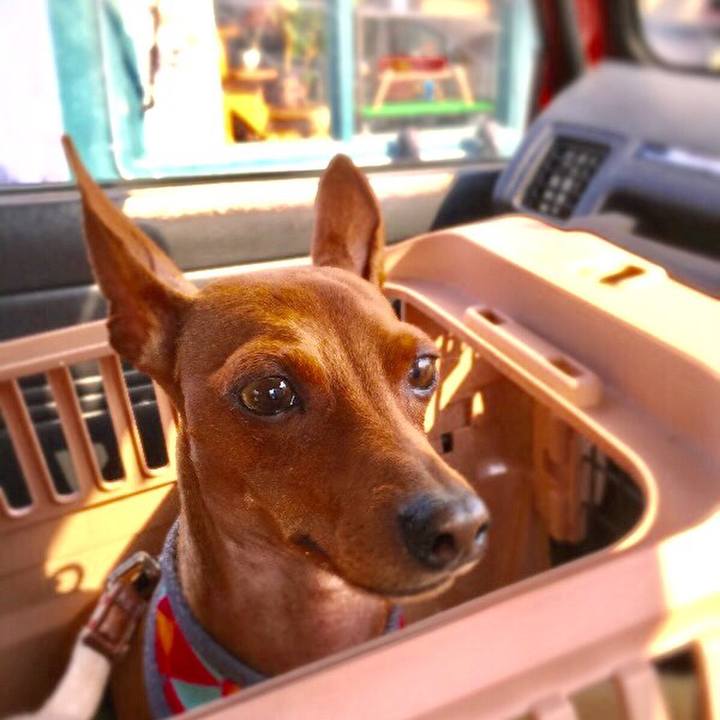 49e5391d dd92 44cd a539 7812743664f9