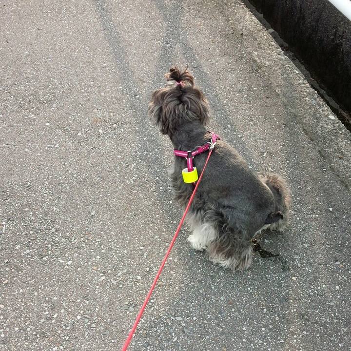 49e54626 a8e6 415d 92fa 9ebf491a5dc0