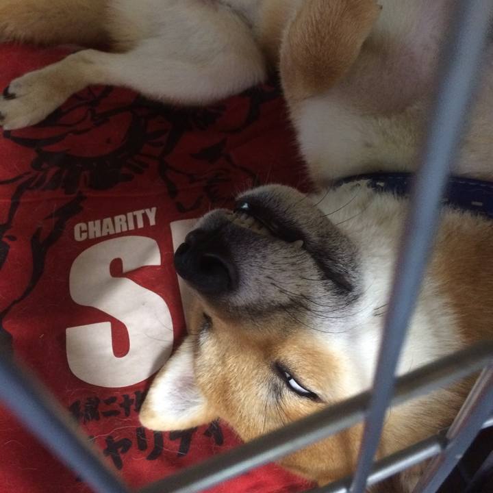 49e5706e 217a 4bf1 bd72 c74f34e4c794