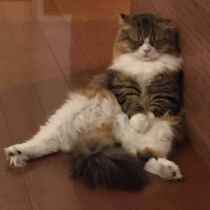 49e59043 b8bd 4673 b2a4 94a4b0c00348