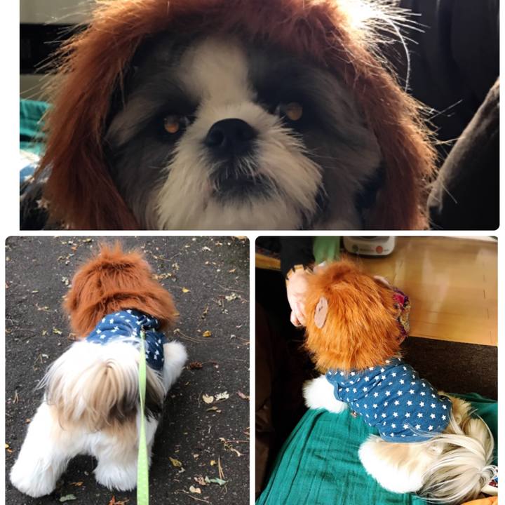 49e5e069 9481 410a a31a d0b8f498ce5e