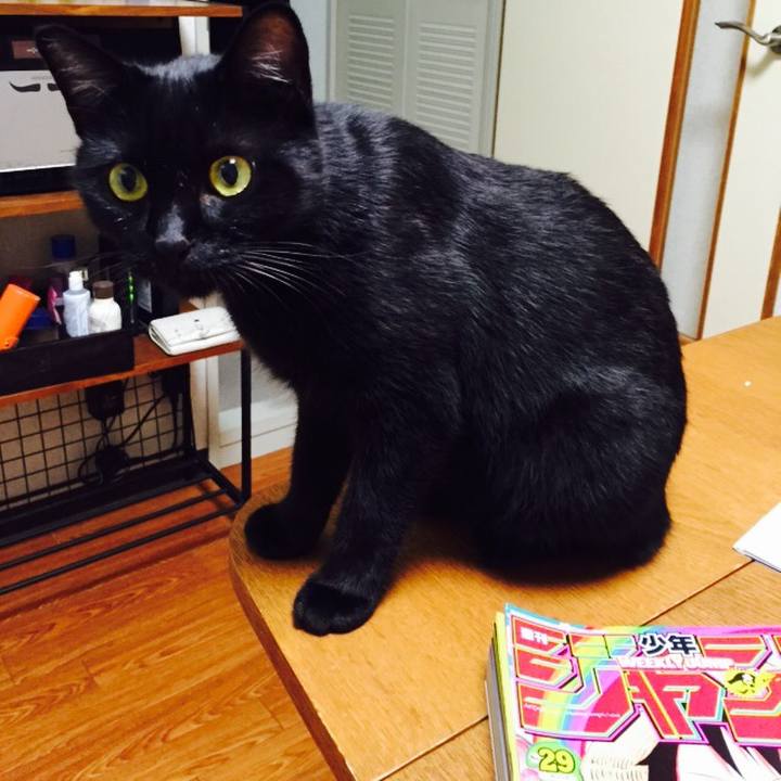 49e6a19f 2b1d 409c 9d36 b5dc495b7943