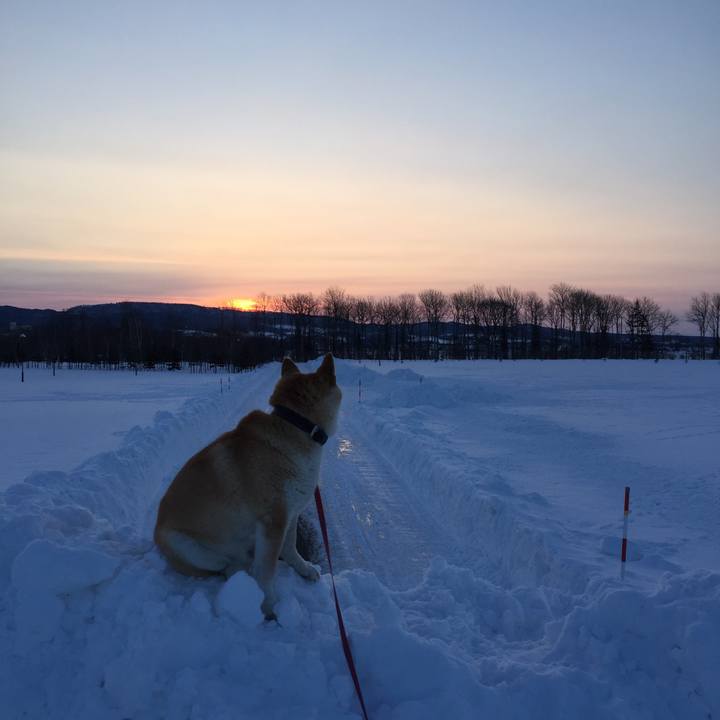 49e7311b 86a6 424a ab26 900d1f4afce2