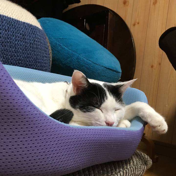 49e788fa 17b3 4755 abcd 220056700f01