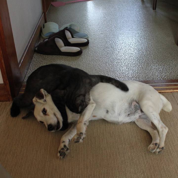 49e7a563 489f 4511 9d4f d5008354341d