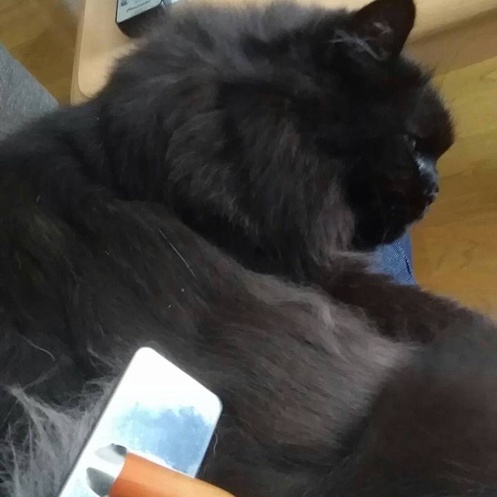 49e7a65f bf59 410f b0ba dd08cd0bfb81