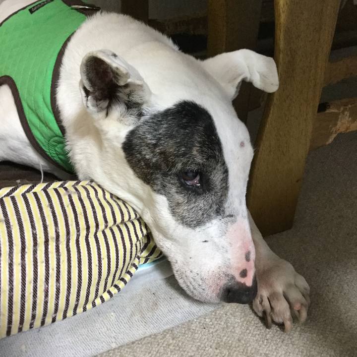 49e83102 1e14 4f04 95e2 ce7b3dd8a7d3