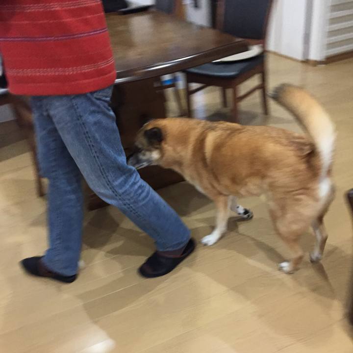 49e9711e 2aaa 47cb b499 29b96c49cda6