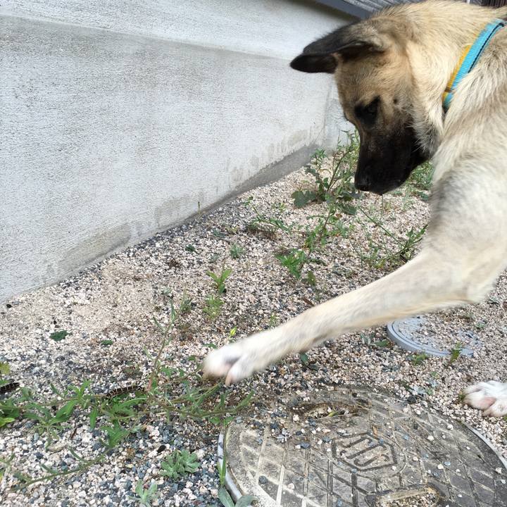 49e9ac78 a205 4c07 9707 3b1615ac486e