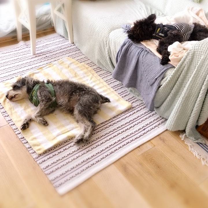 49e9d1cd e6a2 48a2 a0d5 e531db741224