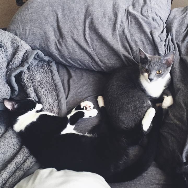 49e9ebda fbf9 4a18 aeaa b712a3f181bd