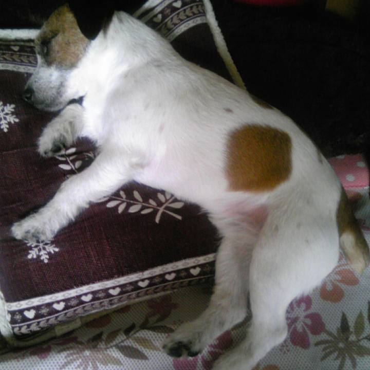 49ea5e8e 8090 4176 99b0 a90aa51ff717