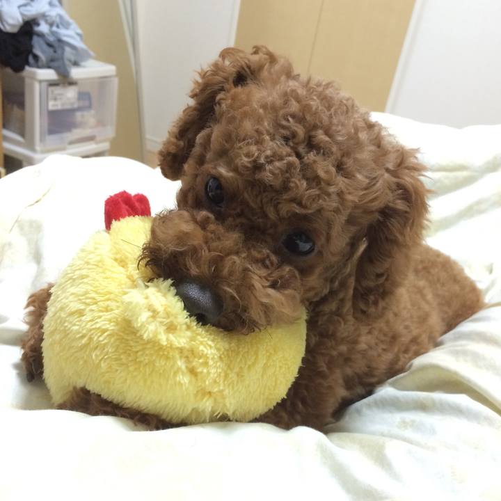 49ea70c9 0205 447c a6d6 0dbb4c6af4fd