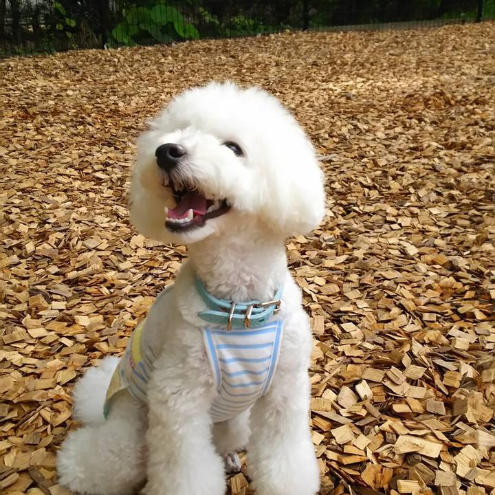 49ead34f f48a 46ef a3f2 193b0c57baed