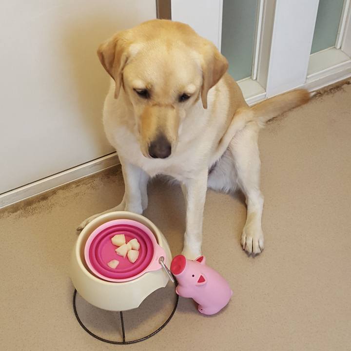 49eb12db 957c 45ed 837b 963b256a7865