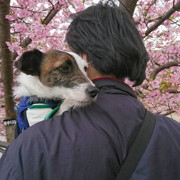 49eb24c9 ff55 4a9c 84c6 0044875d613d