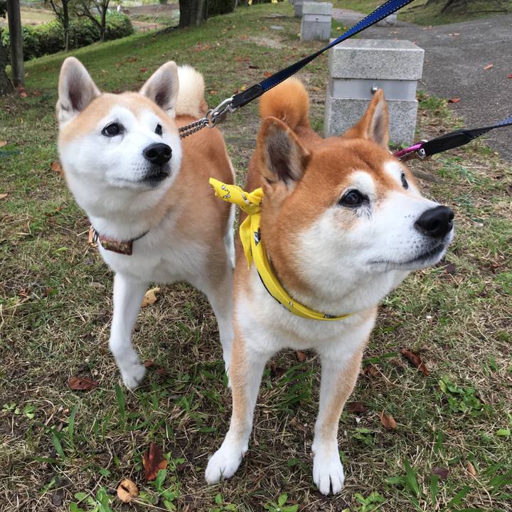 49ebb112 b808 484e 9e1c 48396ccf8c48